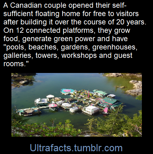 ultrafacts:  Powered by solar panels and sustained by a half-acre plot of farmland, these 12 connected buoyant platforms together form an autonomous off-the-grid dwelling for the couple that built the complex over the course of more than 20 years. Located