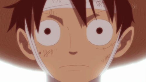Monkey D.Luffy