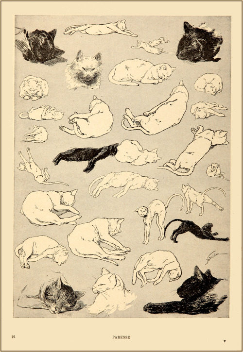 Theophile Alexandre Steinlen From “Cats: Pictures without Words”,1897