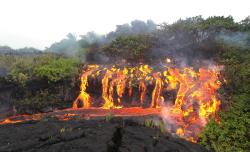 sixpenceee:  Lava pouring out of the jungle April 29th, 2009 in Hawaii. (Source)