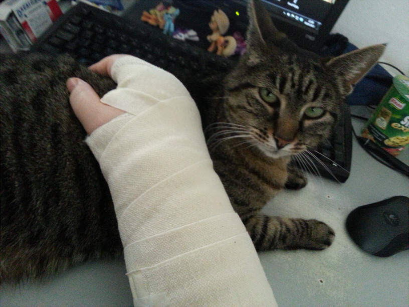 My cat is best wrist-pillow. Sadly had to replace her with my AJ plushie now. :(