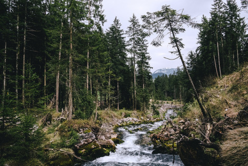 danielodowd:  Abtenau by .monodrift on Flickr.