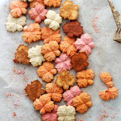 bakeddd:  pumpkin spice spritz cookies click here for recipe 