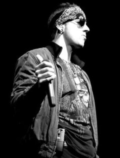 m shadows