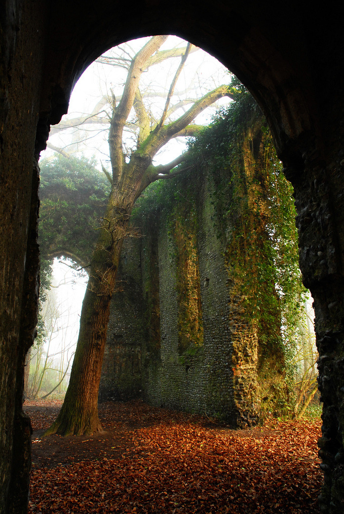 sandra1219:   	Creepy gothic church ruin by Josh  Austin    	Via Flickr: 	Church