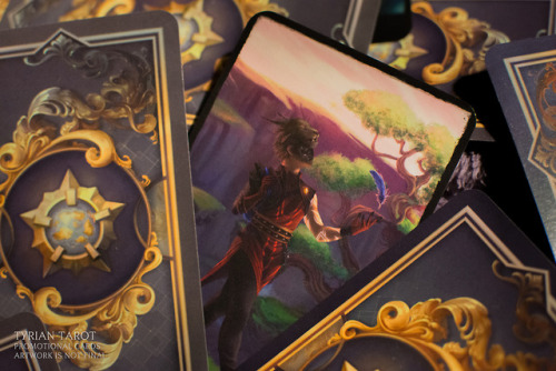 gw2collective: The countdown has begun! Tyrian Tarot’s funding campaign goes live in one week.