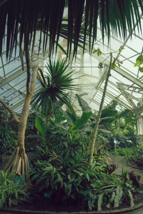 kenmarten:Neon Jungle - National Botanical Garden of Wales