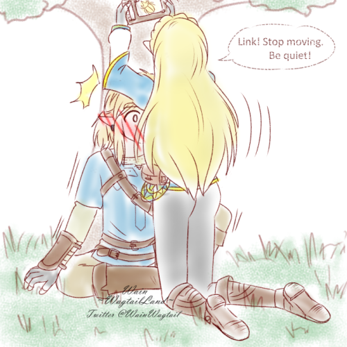 wain-wagtail: [Zelink]doodle