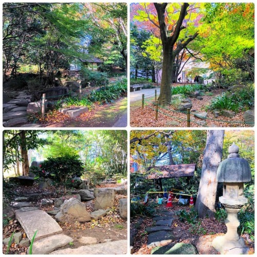 ＼おにわさん更新情報／ ‪[ 神奈川県川崎市 ] 等々力緑地 四季園 Todoroki Ryokuchi Park&rsquo;s Shikien Garden, Kawasaki, Kanagawa