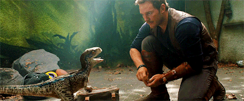 pantosilas - blue in the new jurassic world trailer