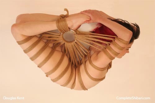 themodifiedmom:  I’m gonna start learning how to do shibari. I’m SO EXCITED.