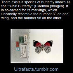 ultrafacts:  Fact Sources: [1] [2] Follow