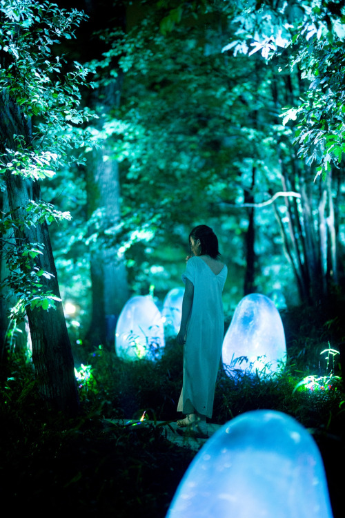 Interdisciplinary artist group teamLab is unveiling a new exhibition at the Nagai Botanical Gardens 