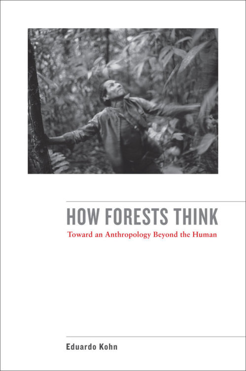 biodiverseed:Book of the month: How Forests ThinkIt’s hard for me to describe how much I enjoyed thi