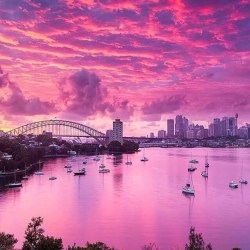cuthighandtightgrower: craigdesigninglife:  Sydney Australia  THE ULTIMATE LUXURY LIFESTYLE BLOGFORTHE GAY MAN  CUTHIGHANDTIGHTGROWER-FOLLOW FOR OVER 300000 POSTS OF–CUT DICKS-GOOD LOOKS-MUSCLES 