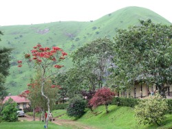 ourafrica:  bonvoyageurs:  COUNTRY ROLL No 31 : Cameroon, which means Shrimp River, is an Africa in miniature with a wide diversity of people and geography!  Cameroon