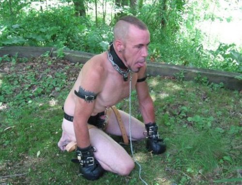 Sex chastity-males:  Chaste Pup. 03-03-2012  pictures