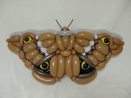 mayahan:  Incredibly Detailed Balloon Animals by Masayoshi Matsumoto
