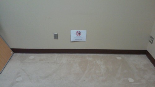 My Boss Is On Vacation, And My Supervisor/office Mate And I Were Bored, So Mischief Ensued. His Couch