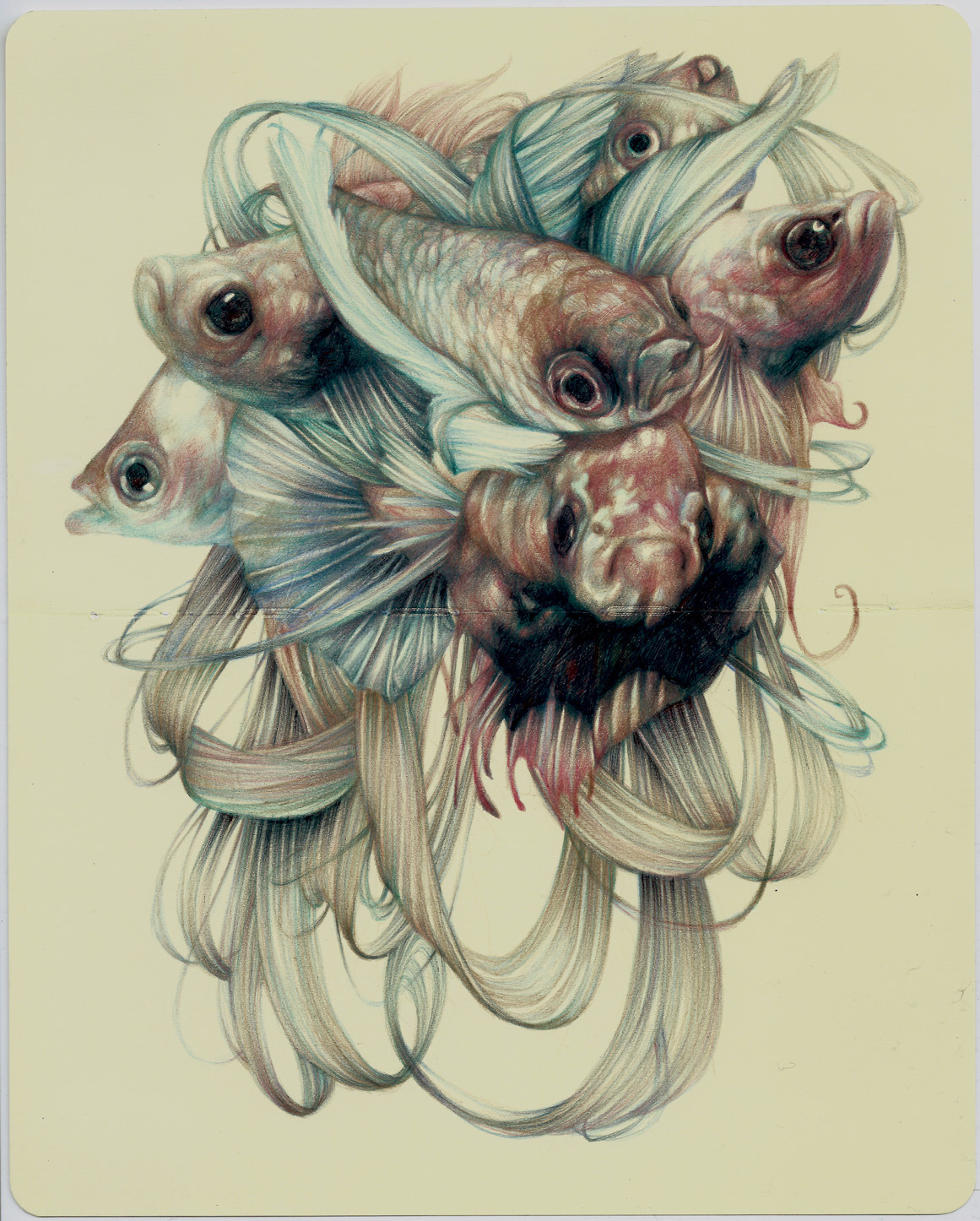 marcomazzoni:            &ldquo;The Tailors&quot;2013, colored pencils and