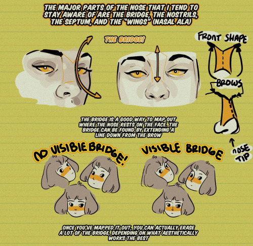 thundercluck-blog:  Hello, friends! Meg here for another TUTOR TUESDAY! Today let’s look at noses! T