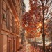 rainy-autumn-day: