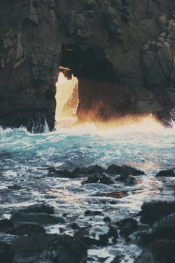 brutalgeneration:  (by growtilltall9) 