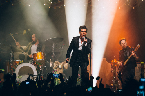 desertnightbloom:The Killers ▪ Sam’s Town Decennial Extravaganza✨ via R.Wright Photography [hq]