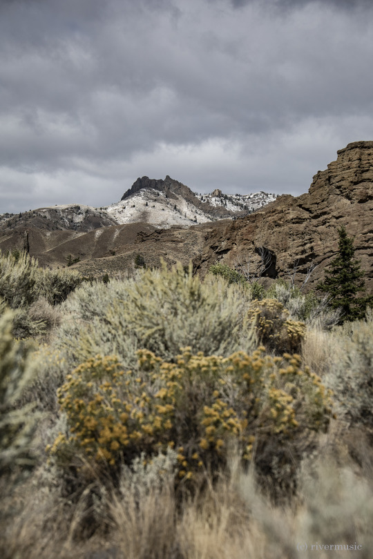 First snow of the season, Absaroka Mountains. I know it’s not even Autumn yet but we had a snowstorm over the past few days...