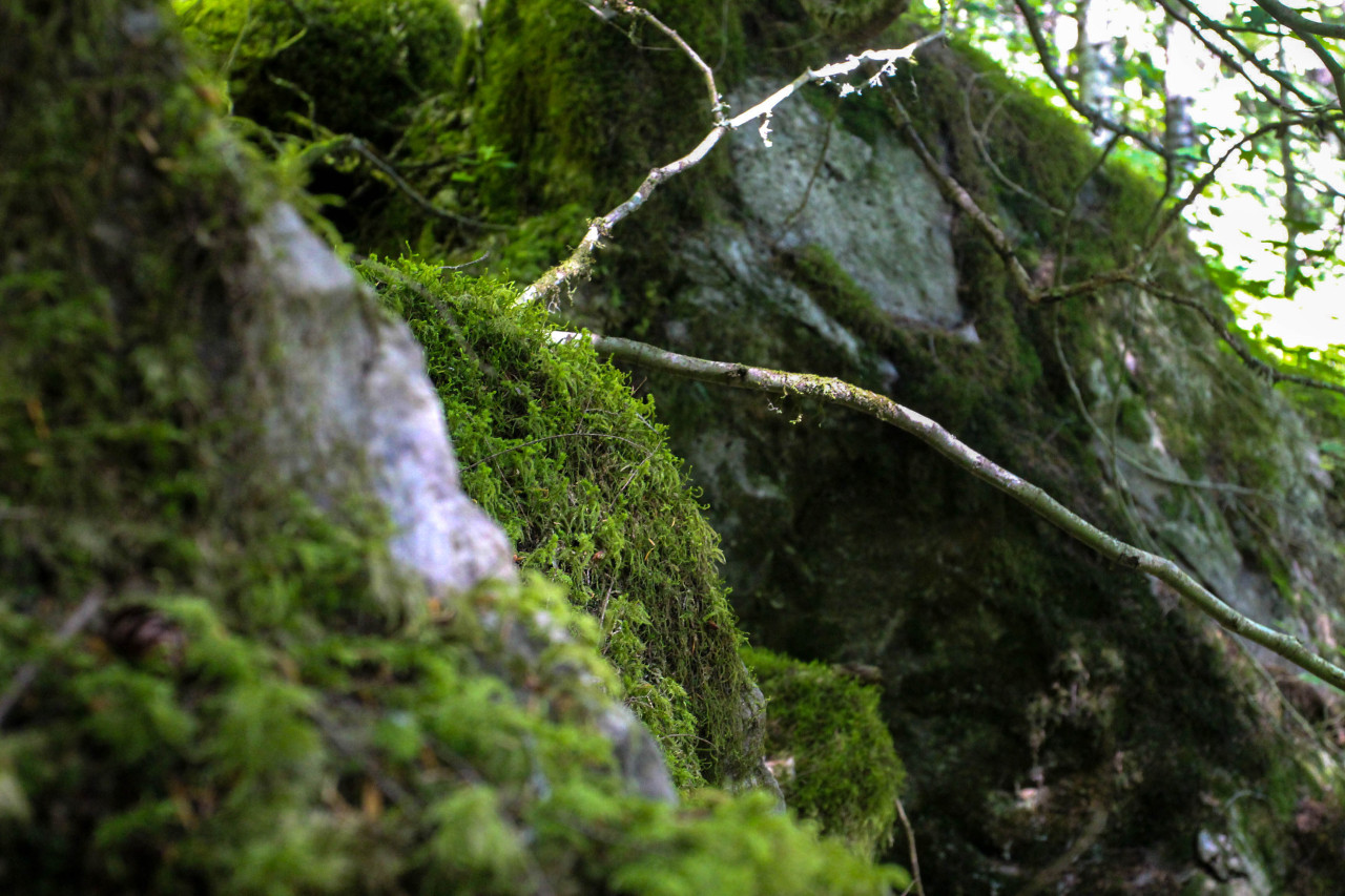 tightlipscoldfeet:  textures
