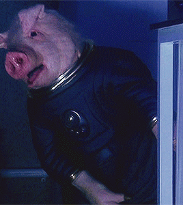 Doctor Who Rewatch ➜ One Gifset Per Episode