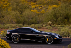 desertmotors:  2005 Mercedes-Benz SLR McLaren