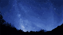 Gravitational Beauty