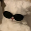 httpshoney