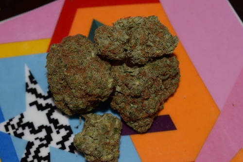 doritosandkilos710:  Picked up some white rhino, really dense and really smelly nugs. Can’t wait to roll it up into a joint and smoke it. (also, I think I should get a better macro lens)  My fav!