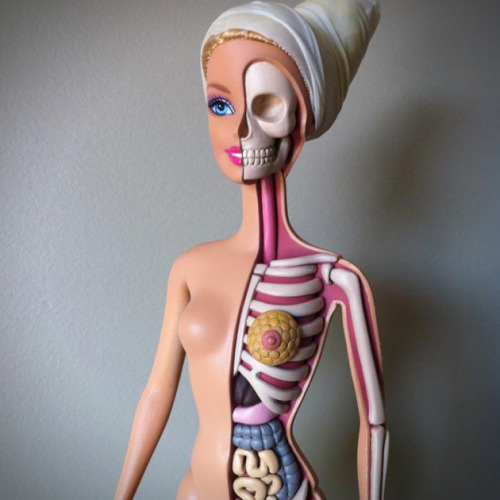 Barbie Doll Anatomy by Jason Freeny.(via Barbie Doll Anatomy by Jason Freeny | HiConsumption)