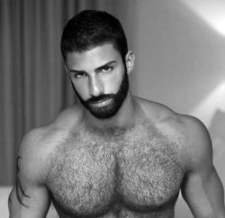 sjcollegeboi:  WOOF!  oxyparis:  Hairy chest