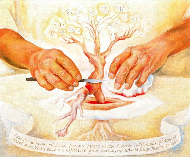 The Hands of Dr Moore via Diego Rivera
Size: 45.8x55.9 cm
Medium: oil on canvas