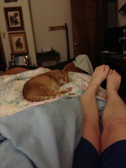 An example of one those times when the cat steals your leg room.  September 5, 2014, two years ago.