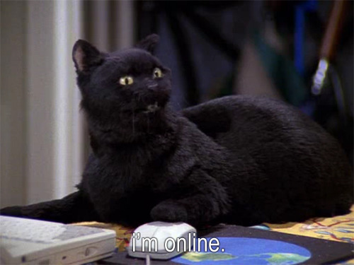 cumber-bitches:  demigodofhoolemere:  i feel like salem the cat is tumblr’s spirit animal               do you guys see what i’m getting at  . 