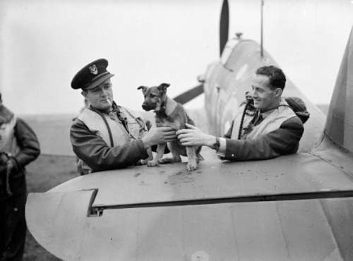 peerintothepast:Pilot Officers Jan Zumbach (left) and Miroslaw Feric, two Polish fighter pilot aces 