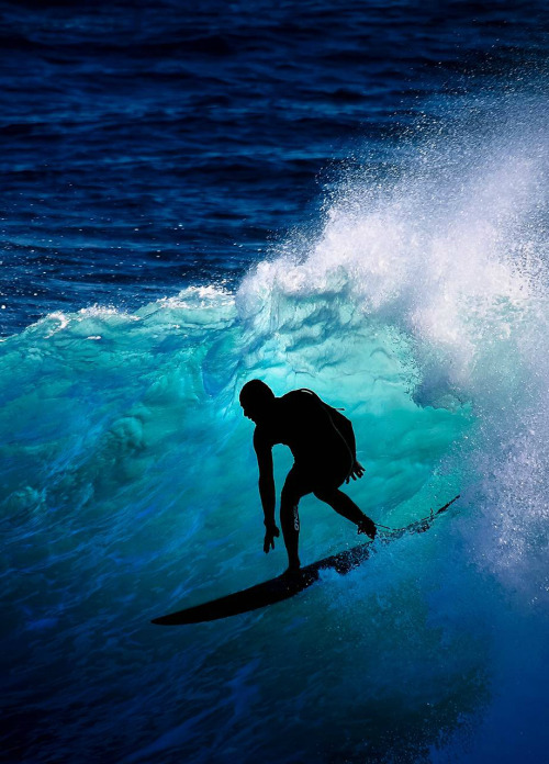 surfing-in-harmony:  🌊🏄 