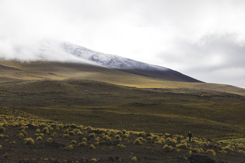 High above Laguna Colorada, Bolivia  Instagram Twitter Society 6Redbubble