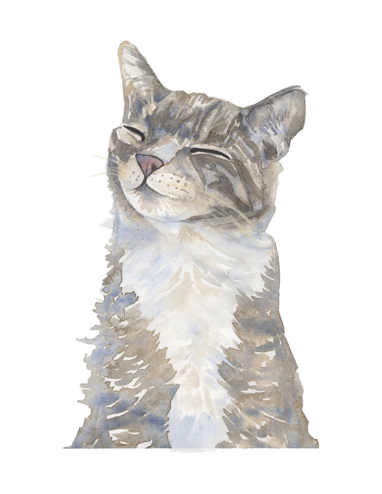kboyington424:  Cats by Kate Boyington.   Get your pet portrait today at: www.etsy.com/shop/KateBoyingtonArt