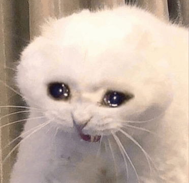 IM- I. IM FUCKING. AHHHHHHHHHHHGISKGDYPFYDITDITDTICOCYCITUDTISYIEET