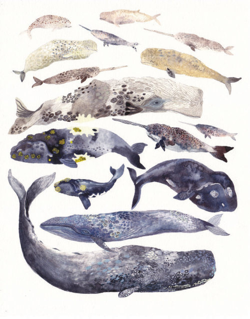 fuckyeahmobydick:Stacked Whales by Michelle Morin