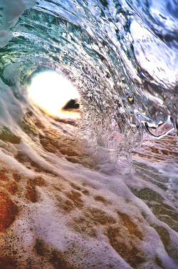 wavemotions:  the.wave