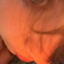 marfoop
