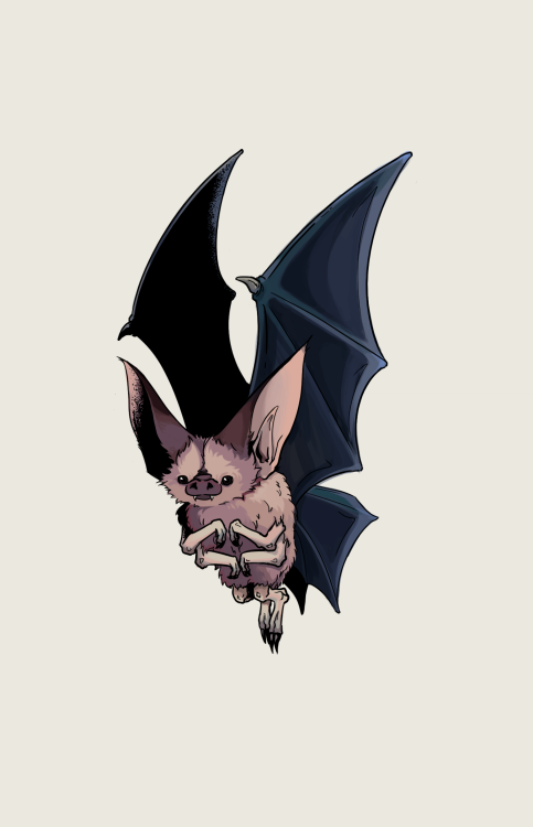 beware! a bat-terfly