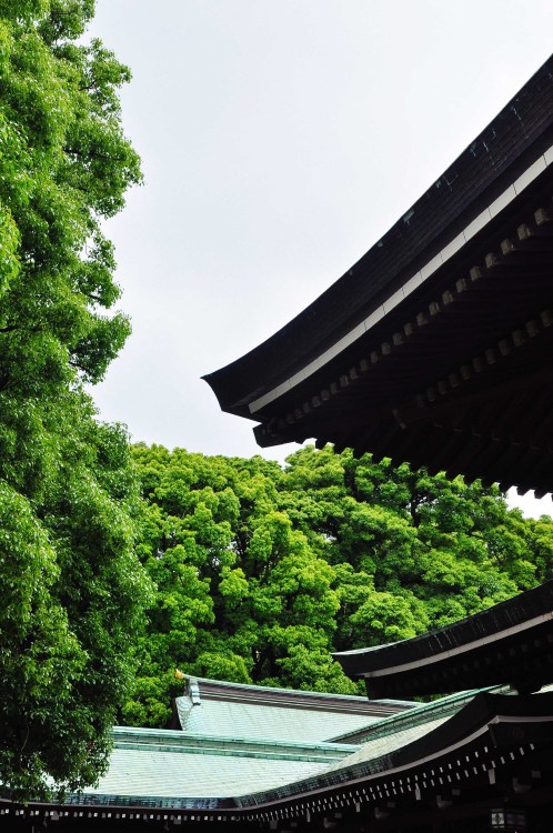 danlophotography: Meiji Shrine | Tokyo, Japan